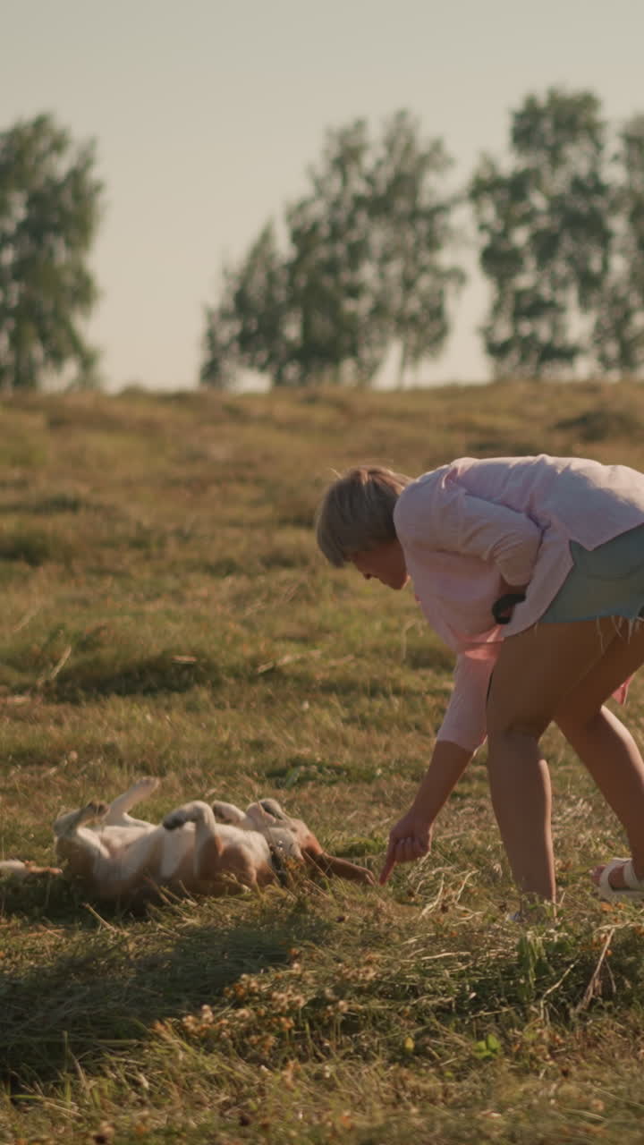 핑크색 셔츠와 쇼트를 입은 동물 강사는 개를 훈련시켜 농경지에서 굴러가며, 개는 흥분하여 혀를 내밀고 명령을 따르고, 밝은 빛의 날, 먼 나무의 배경으로