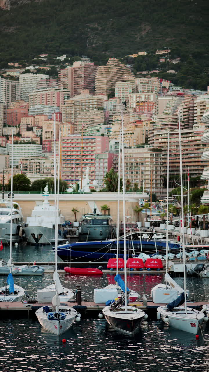 Vista di barche ormeggiate nel porto turistico di Monaco con lo skyline della città sullo sfondo. Verticale
