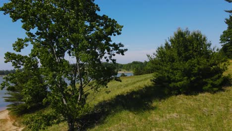 Wind-Weht-Durch-Die-Bäume-Im-Naturschutzgebiet