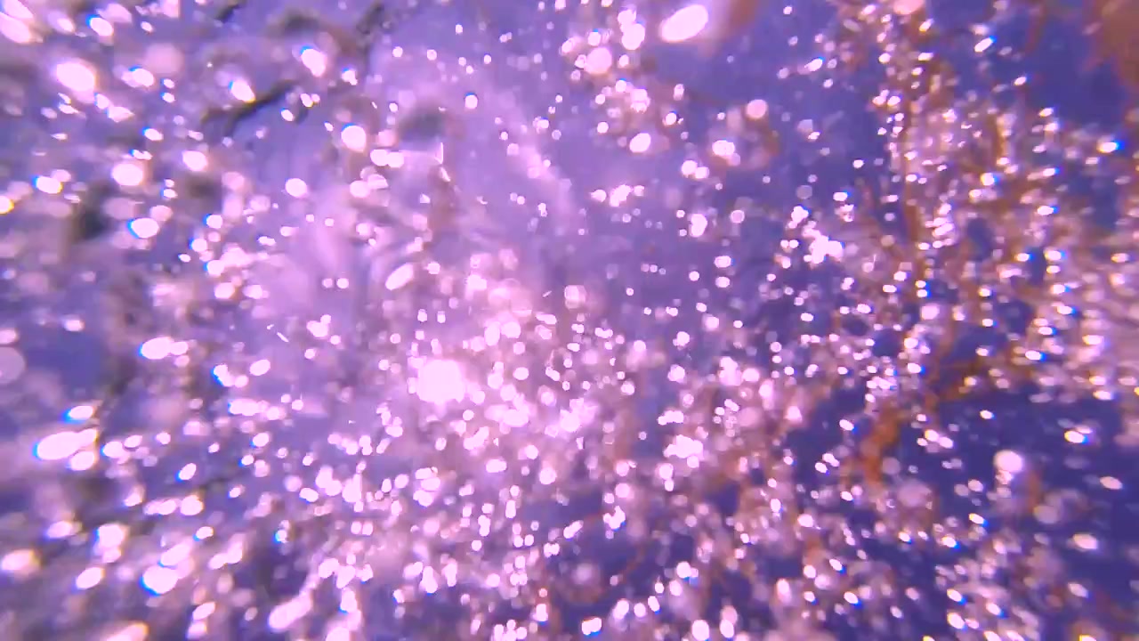 Snorkle under vandet og kigge på solen
