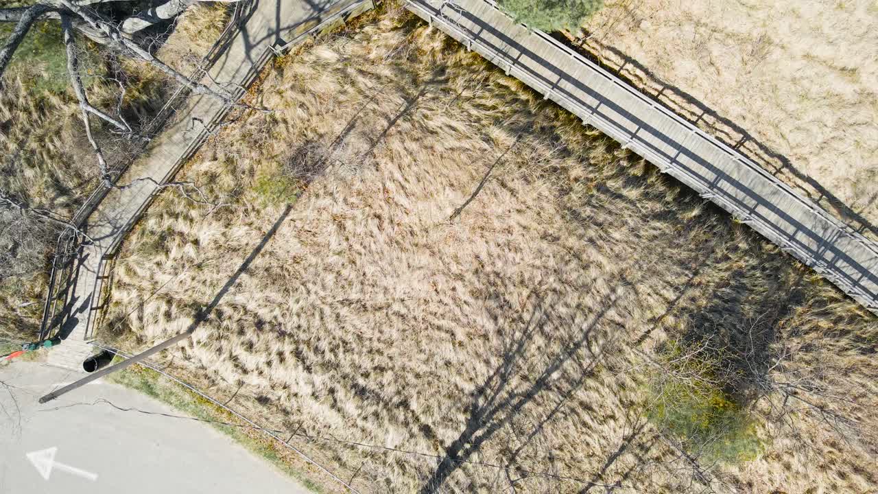 Rising in bird's eye over dune grass