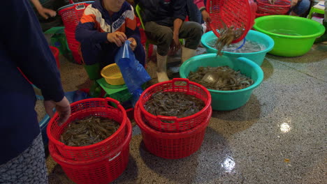 Los-Calamares-Frescos-Se-Exhiben-En-Un-Rincón-Del-Mercado-De-Mariscos-En-Tho-Quang,-Vietnam