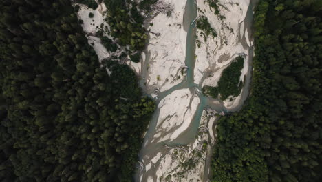 aerial bird's eye view above braided turquoise stream between evergreen forest with fallen tree logs