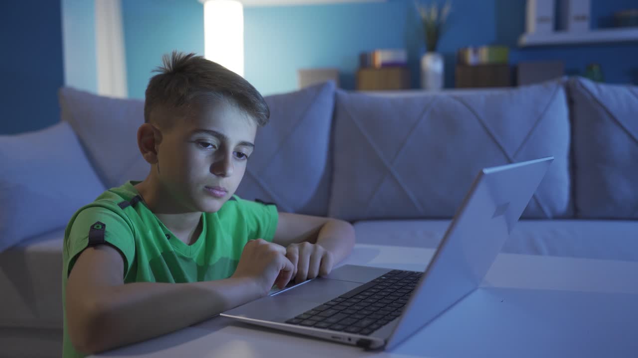 un niño pequeño mirando la pantalla de la computadora preocupado y triste.