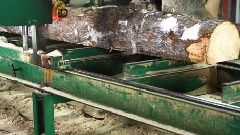 Sawmill worker pushes industrial bandsaw on the rails, sawing aspen tree log