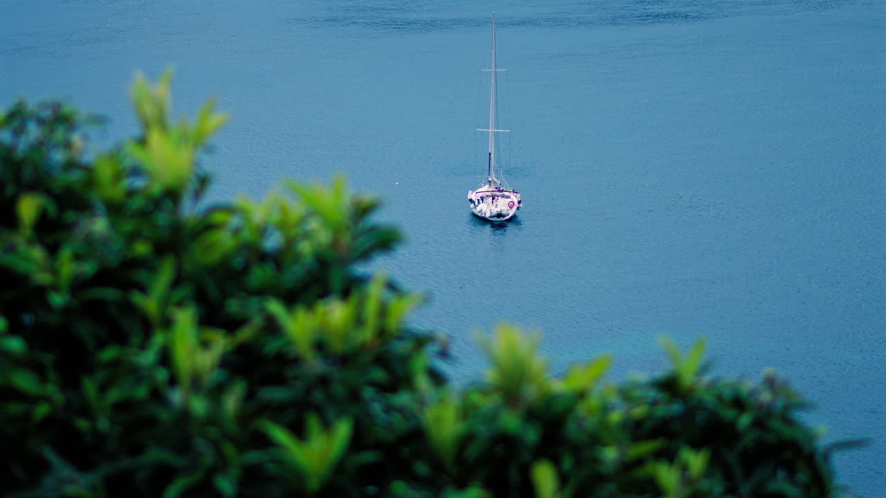 Distant view of a white boat floating on the sea with a blurred close up of a green tree