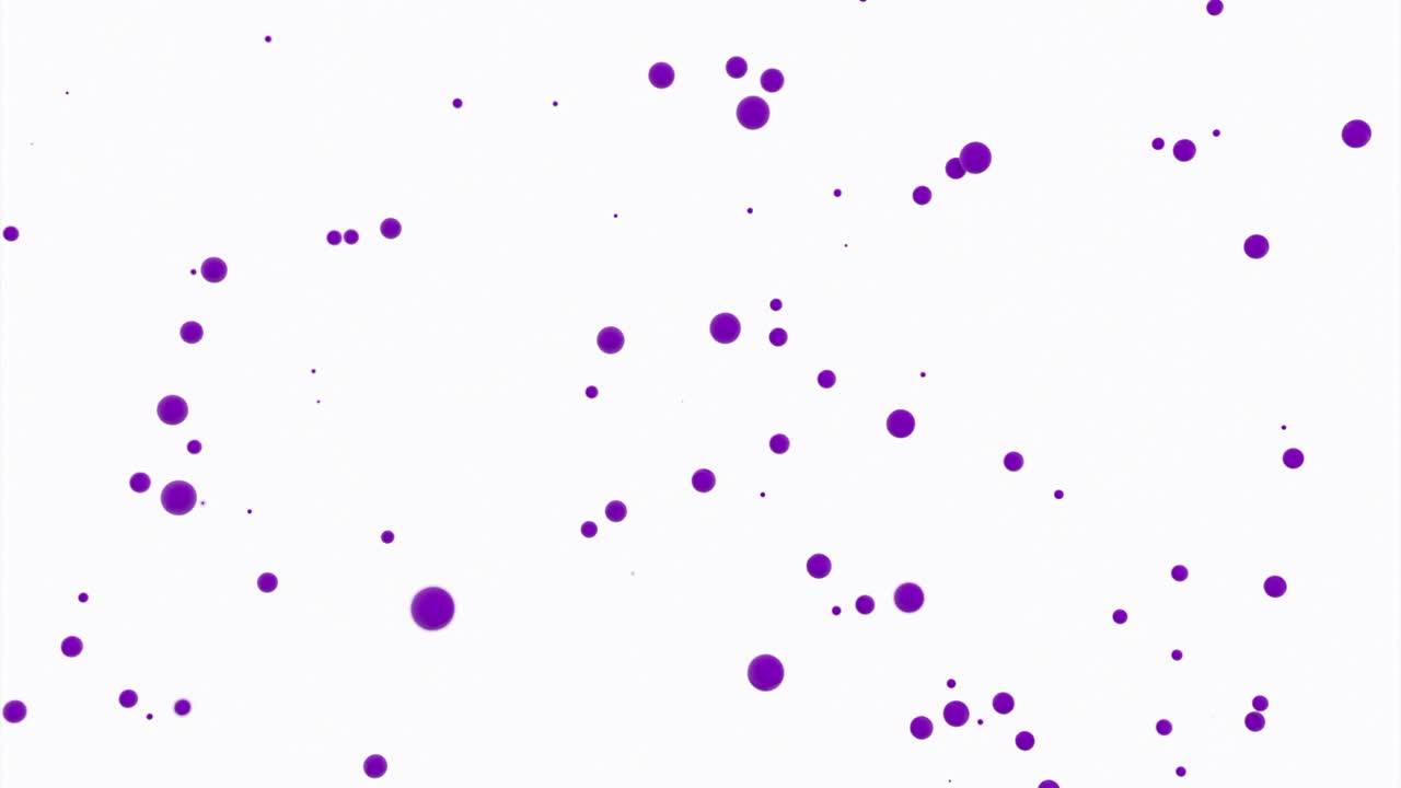Purple Circles Scattered on White Background