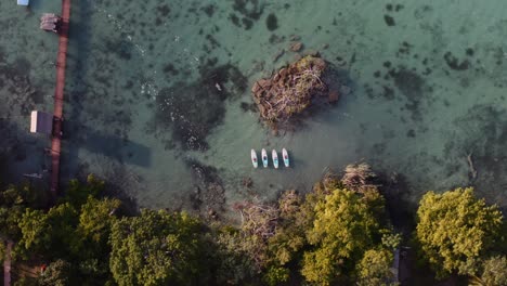 four people in swimsuits stretch and practice sunrise yoga on stand up paddle boards on the turquoise waters of bacalar's laguna de las 7 colores in quintana roo mexico