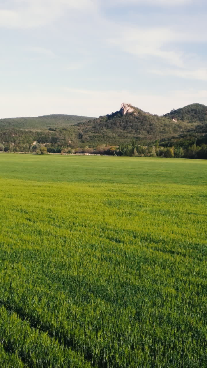 Paisaje de campo verde con montañas al fondo