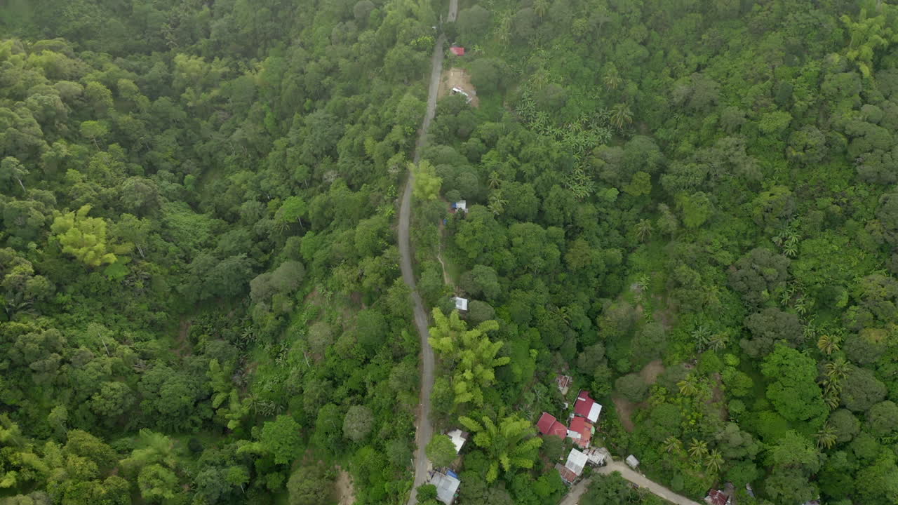 따뜻한 열대 외국의 녹색 정글 위의 공중 드론 비디오-5