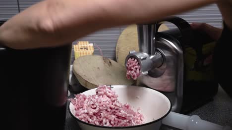 meat grinding in electrical grinder