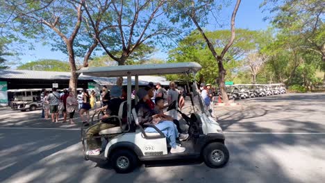 personas explorando el zoológico en carros de golf