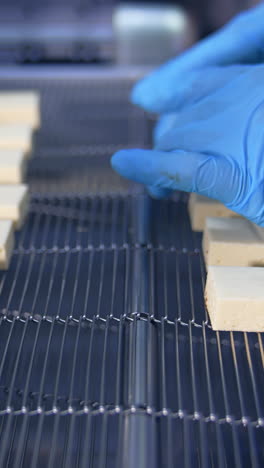 cheese production line