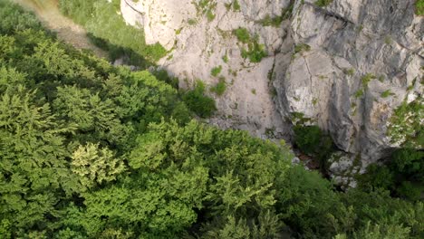 Drone-Volando-Sobre-Un-Bosque-Denso-Que-Revela-Un-Cañón-Con-Un-Río-Que-Fluye-Debajo