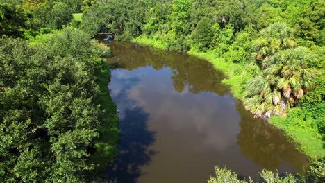 Aerial-footage-of-several-white-birds-in-a-canal-in-the-Wisner-Tract-Park-in-New-Orleans-Louisiana