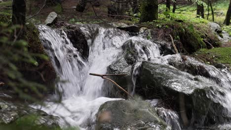 Ein-Kleiner-Bergbach,-Der-Die-Felsen-Im-Wald-Hinunterfließt