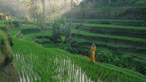 Mujer-Viajera-En-Un-Arrozal-Con-Un-Vestido-Amarillo-Caminando-En-Una-Terraza-De-Arroz-Explorando-El-Paisaje-Cultural-En-Unas-Vacaciones-Exóticas-A-Través-De-Bali,-Indonesia,-Descubra-Asia.