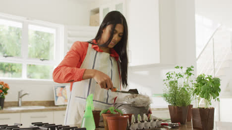 Video-of-happy-biracial-woman-planting-herbs-at-home