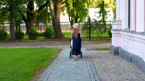 static shot of a mother walking her baby's stroller with her back to the camera in a park in slow motion