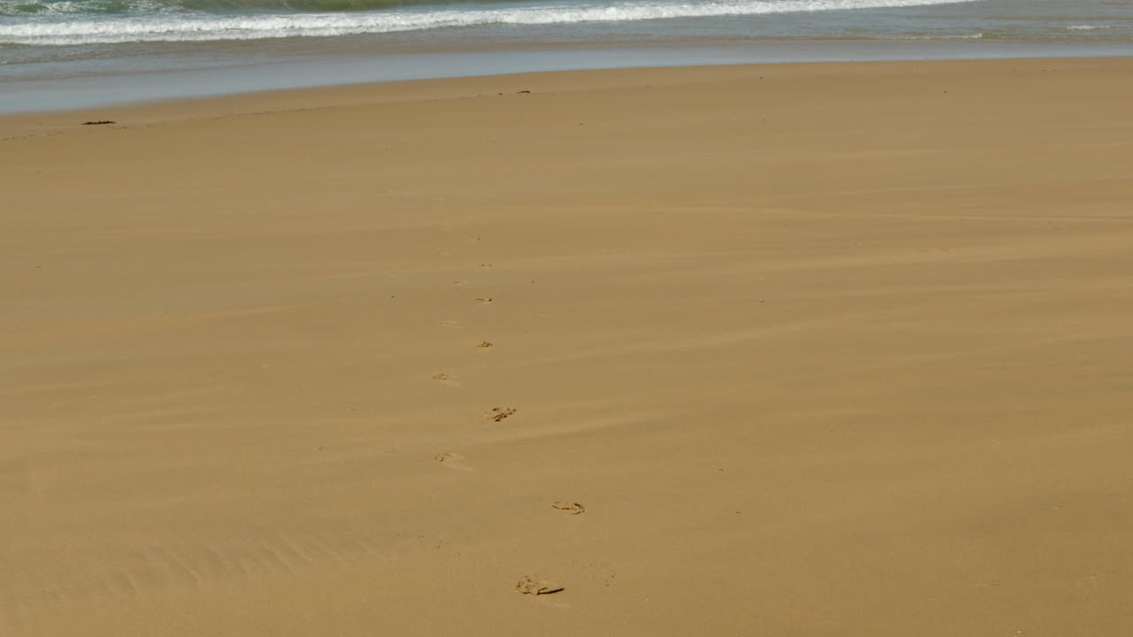 고립된 연안 해역으로 이어지는 황금빛 모래 해변의 발자국