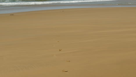 footprints on a golden sandy beach leading towards isolated coastal waters