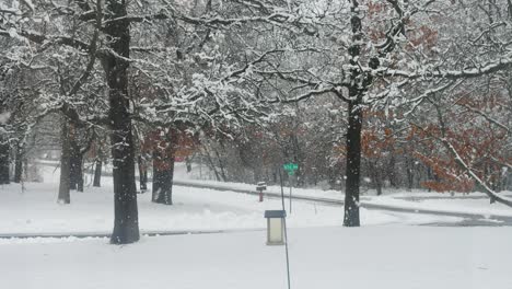 streets in the midwest covered in snow during the winter