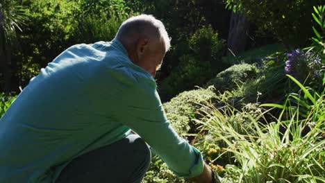 Pareja-Mayor-Caucásica-Plantando-En-Su-Jardín-Y-Hablando-Bajo-El-Sol