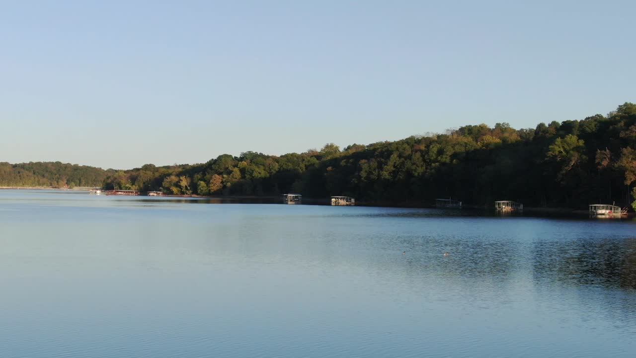 ducks and geese lazing about the lake - low altitude aerial view
