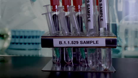 samples named b