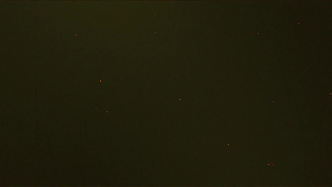 Partículas brillantes flotantes sobre un fondo oscuro