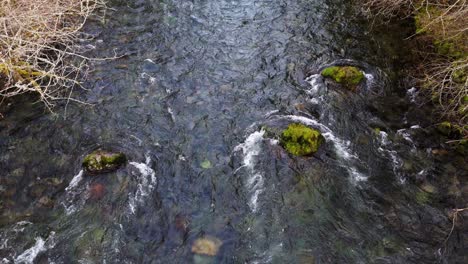 Stationary-close-up-drone-shot-of-Cedar-River-flowing-pass-moss-rocks-in-Washington-State