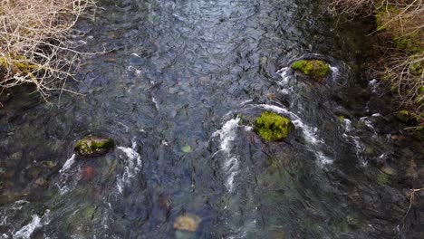 stationary close up drone shot of cedar river flowing pass moss rocks in washington state