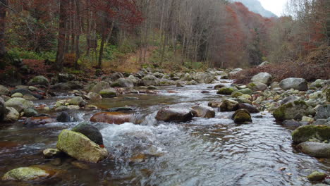 river water flow in mountain forest at autumn