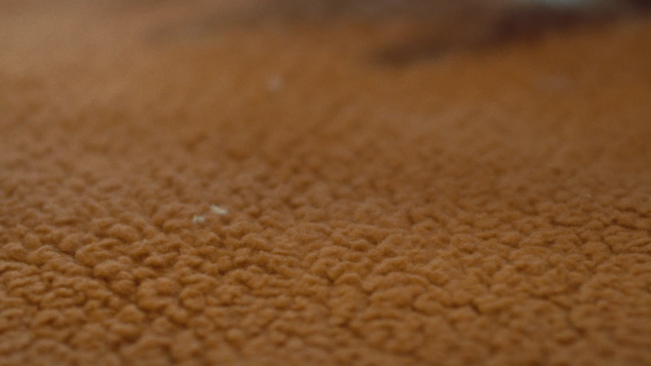 Close-up of a fuzzy, brown fabric