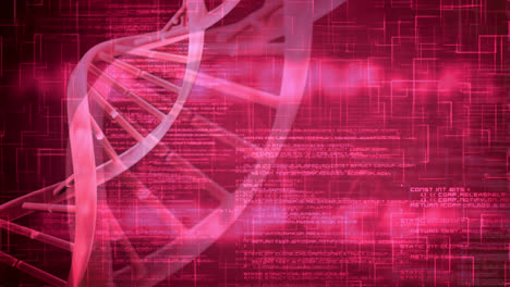 animación de la hélice de adn girando sobre el lenguaje de programación sobre el movimiento en bucle