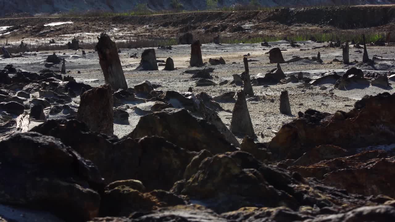 폐기된 광산 지역, 건조한 호수 바닥과 손상된 나무