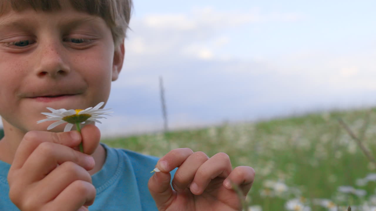niño con una flor de margarita