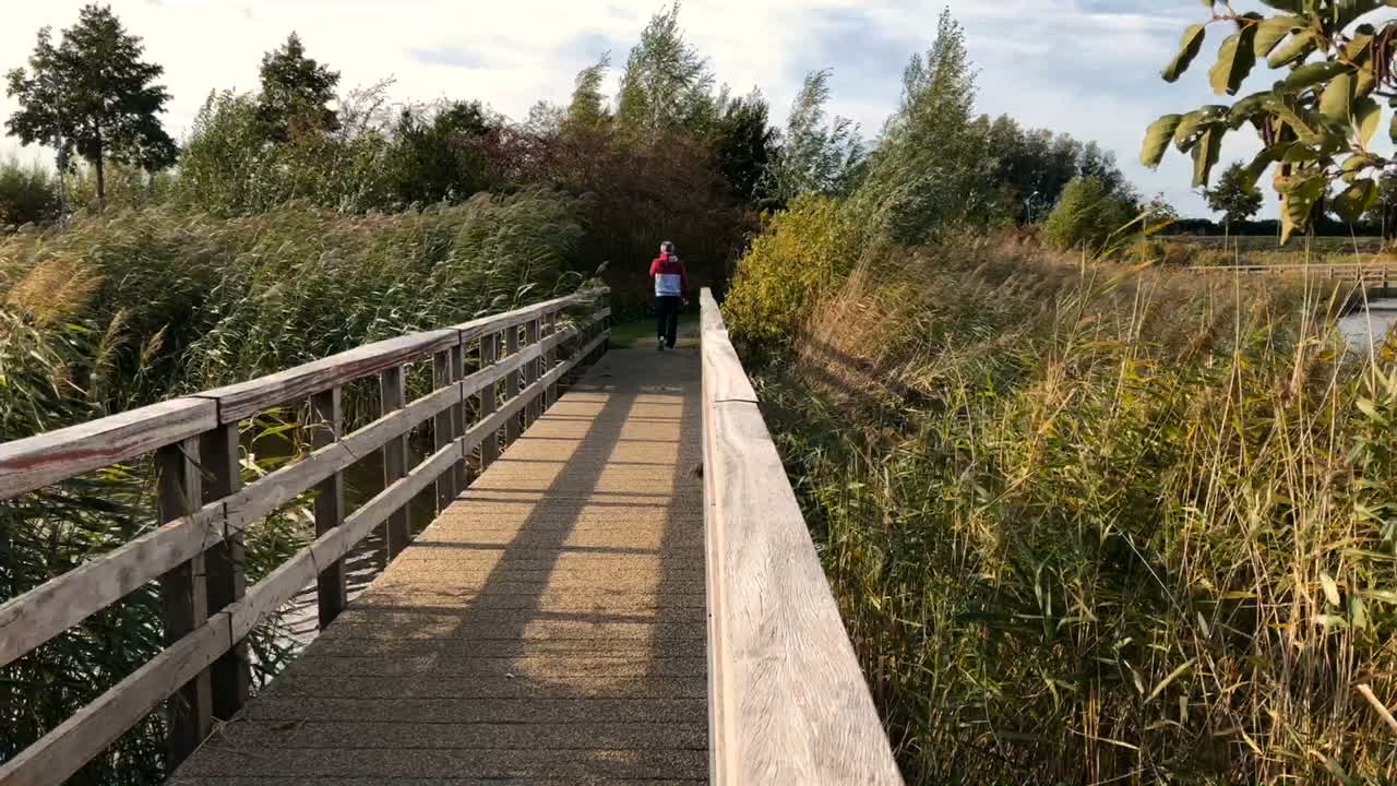 Un uomo che cammina via su un ponte di legno attraverso un lago tra le canne