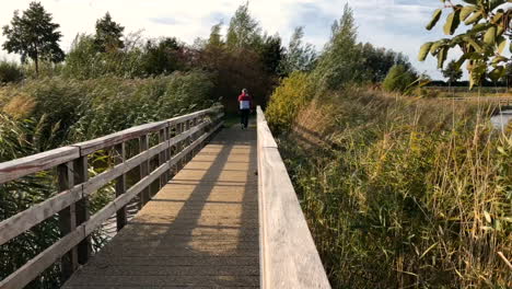 un hombre saliendo por un puente de madera a través de un lago en la caña