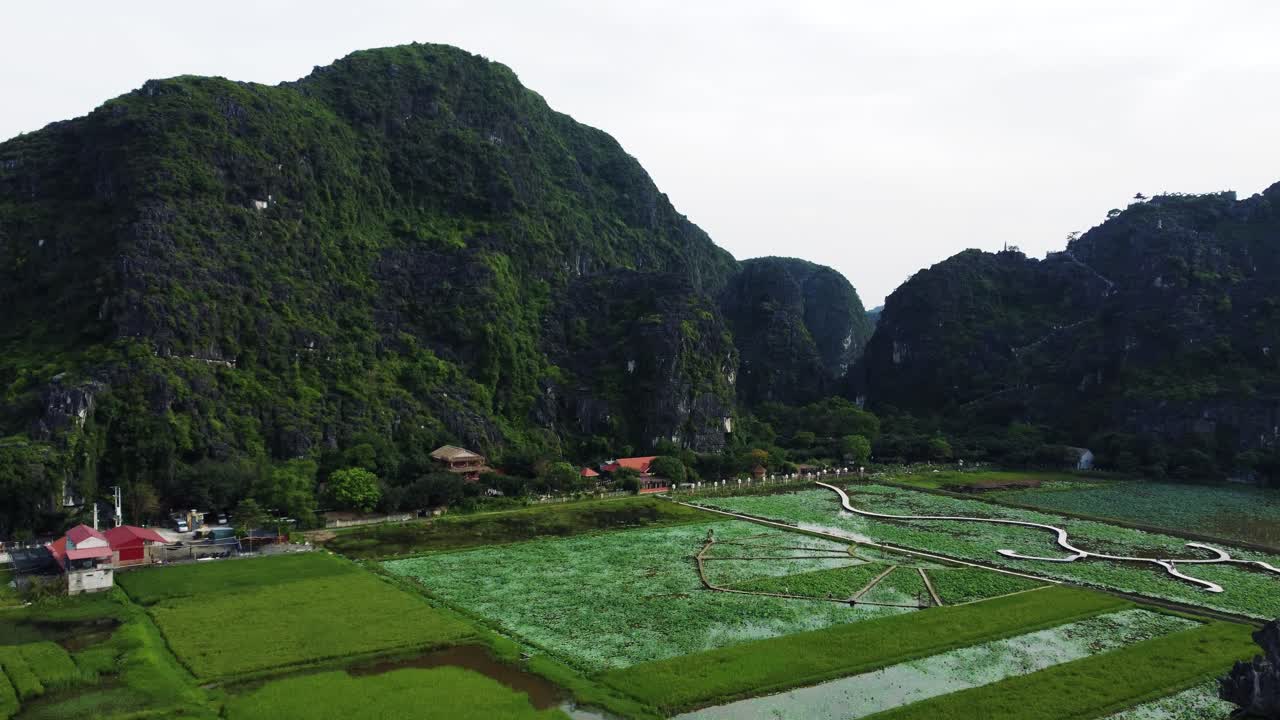 Drone Flying Towards Hang Mua Mountain Capturing Goats on Mountain Top in Ninh Binh, Vietnam
