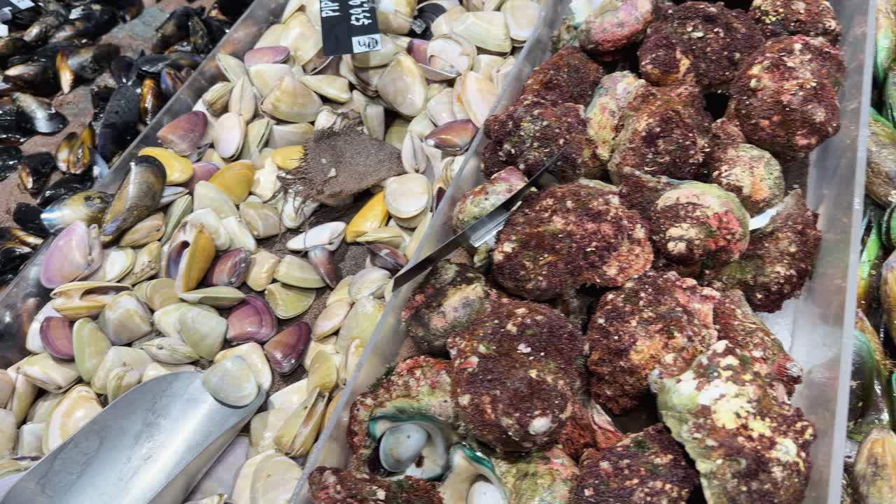 A high-angle panning shot across various fresh clams, mussels, and pipis on ice