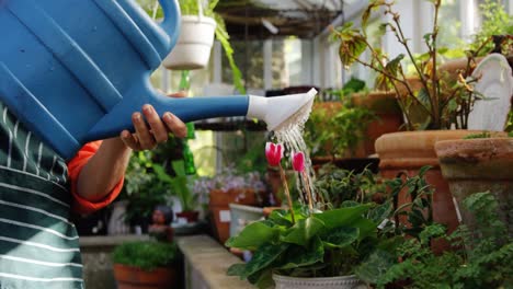 Mature-woman-watering-pot-plant