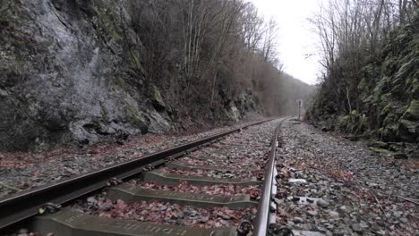 flying backwards along a wet abandoned railroad track in the woods - close aerial drone