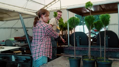 Dos-Botánicos-Caucásicos-Trabajando-En-Invernadero-Sobre-Plántulas-De-Plantas.