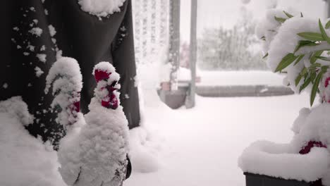 el comienzo del invierno en alemania