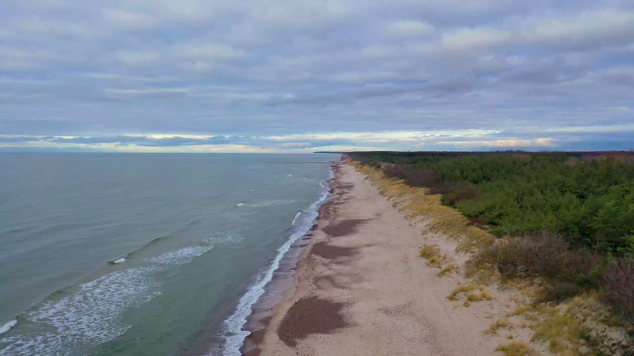 Мрачный зимний осенний пляж. Волнующееся море, дикий пляж и лес.