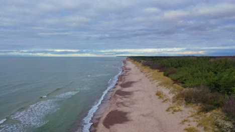 gloomy winter autumn beach. wavy sea, wild beach and a forest.