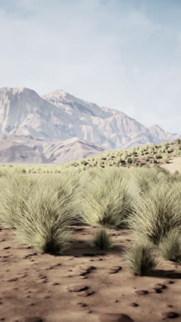 desert landscape with distant mountains