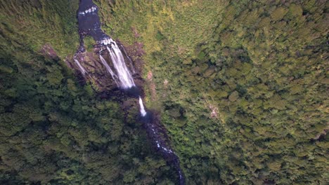 Cascading-Water-Of-Wairere-Falls-In-North-Island,-New-Zealand---Aerial-Top-Down