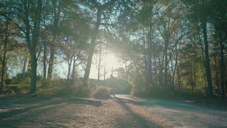 Moving-through-the-forest-during-low-angle-sunlight,-house-visible-in-distance